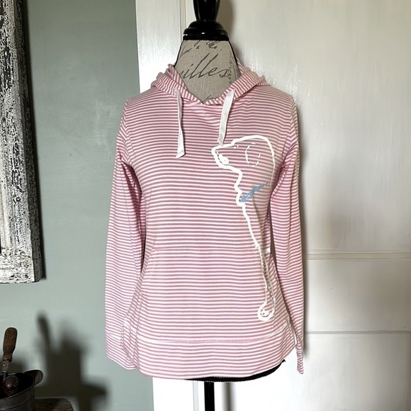 The Black Dog Pink and White Striped Hoodie - Picture 1 of 14